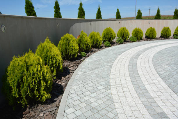 Best Driveway Paving Contractor  in Grant City, MO